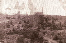 Kuva 39. Tuulimyllyjä 1900-luvun alussa.